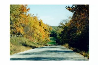 Illinois Backroad