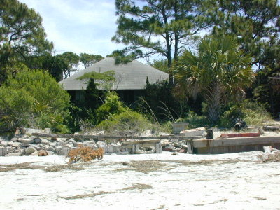 House among the Jungle