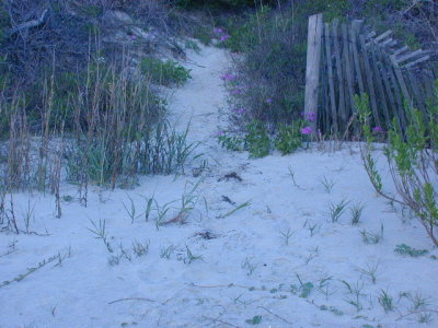 A sand trail