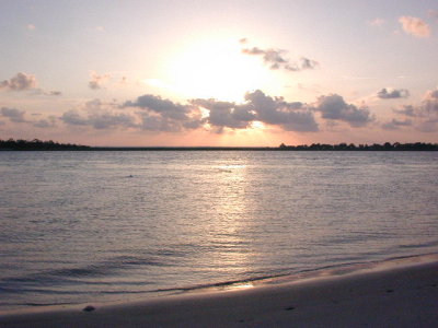 The beach at sunset