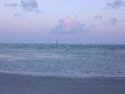 The beach at sunset