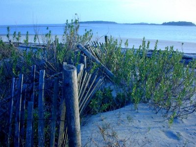Fence line along the beach