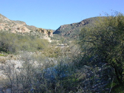 DSCN0016.JPG