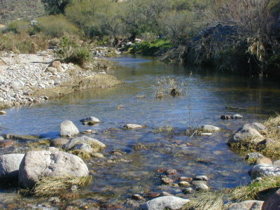 DSCN0019.JPG