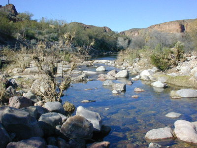 DSCN0020.JPG