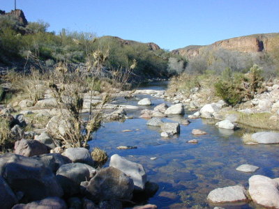 DSCN0021.JPG