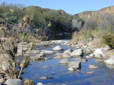 DSCN0022.JPG