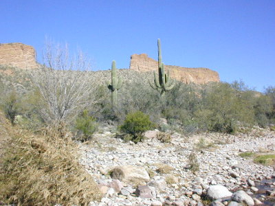 DSCN0024.JPG