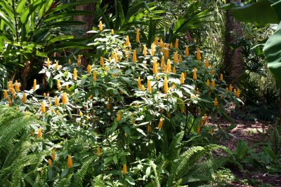 Washington oaks Gardens State park