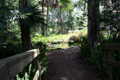 Washington oaks Gardens State park