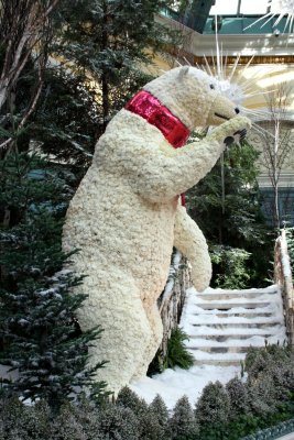 Inside the Bellagio/Bear made of Flowers