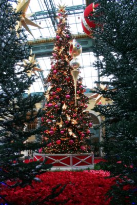 Inside the Bellagio