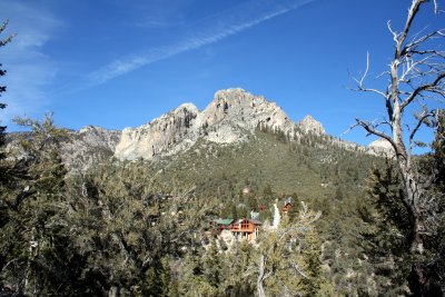 Near Mt Charleston