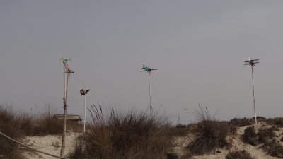 Fascinating stick and bottle planes in the dunes just opposite the Kiosko Levante