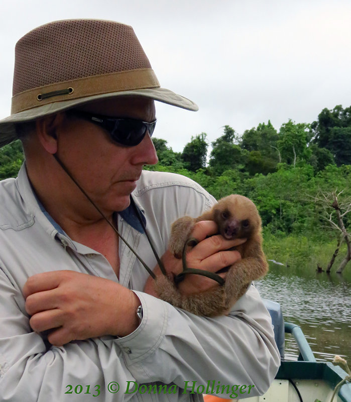 The Baby Sloth Freaking out