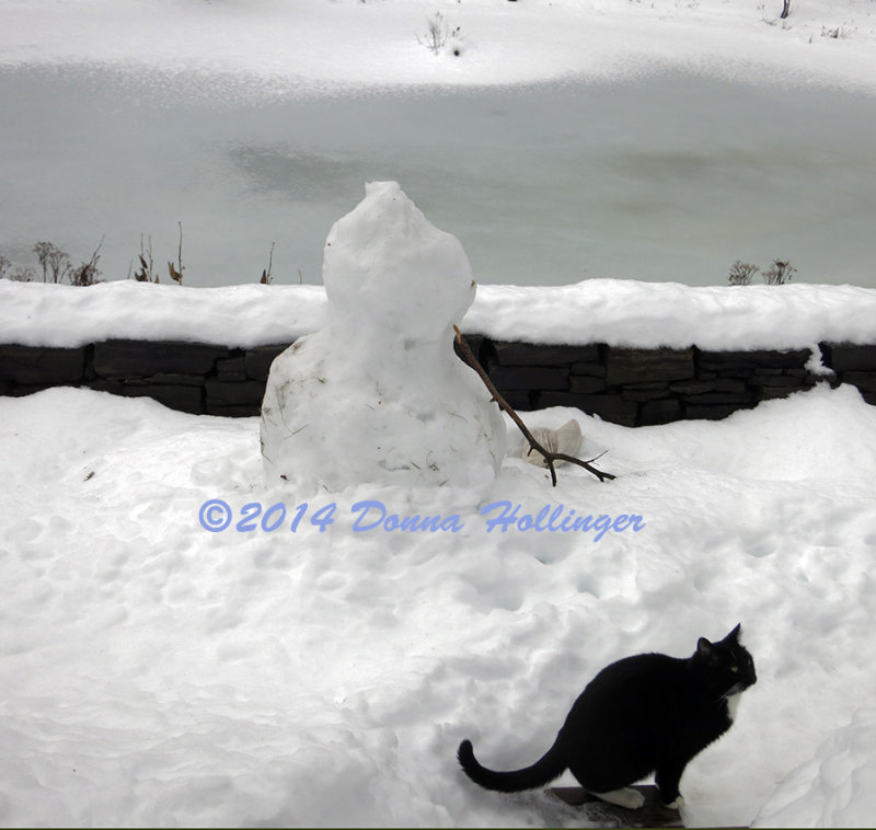 Rocky Kitty for Contrast...Headless Snowman