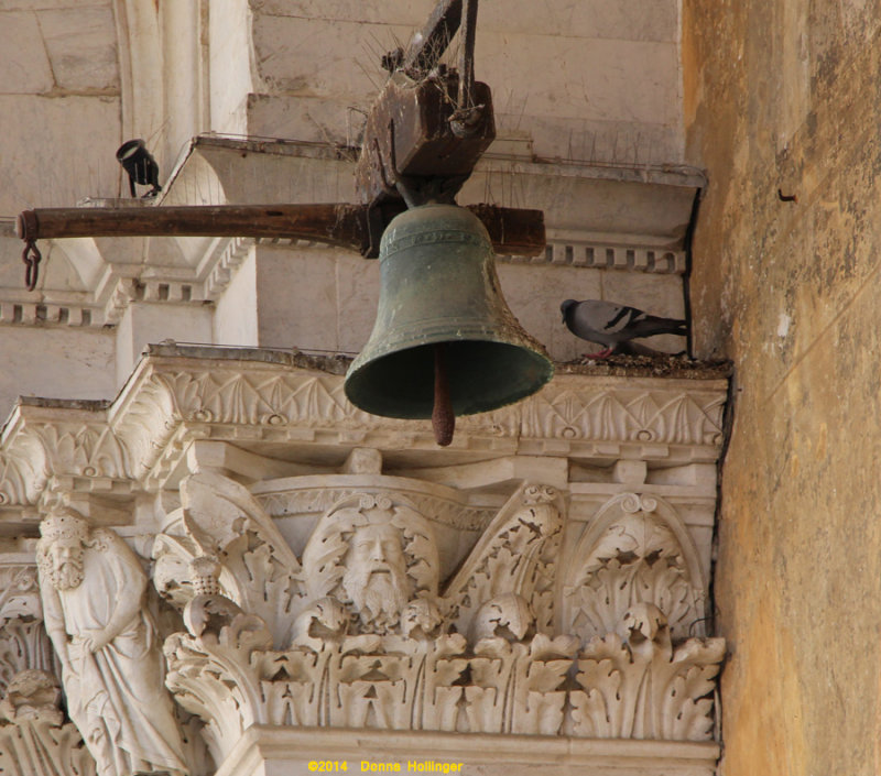 Detail on the Palazzo reppublica with Pigeon