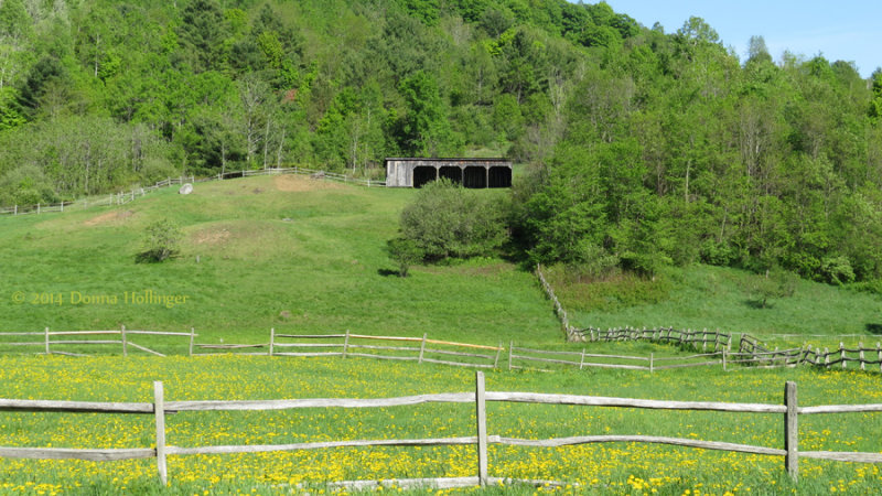 Huntington Stables Paddock 