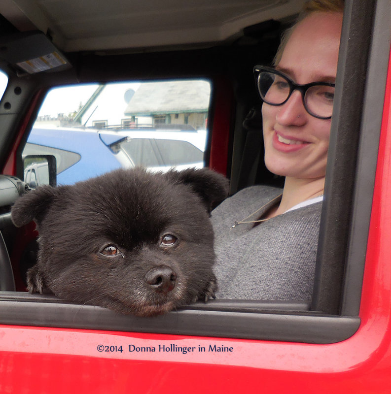 Pals Waiting for the Ferry
