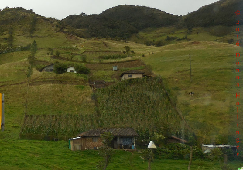 Houses in the Countryside