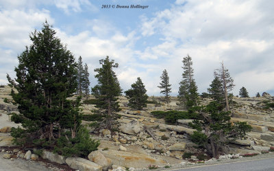 2013 Yosemite-Joppa Flats Trip