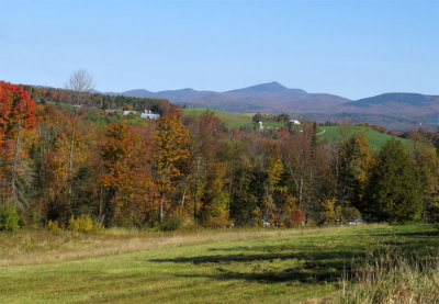 Trees starting to turn