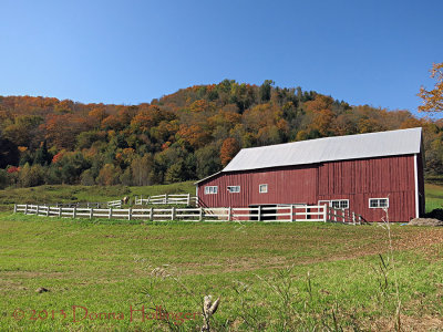 Nice Horse Barn!