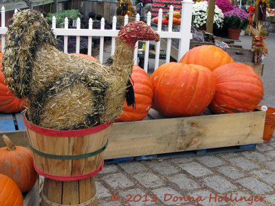 StrawTurkey with Pumpkins