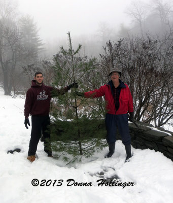 JonCarlo, Christmas Tree and Peter