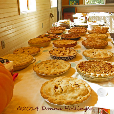 19 Pies for the Apple Pie Contest