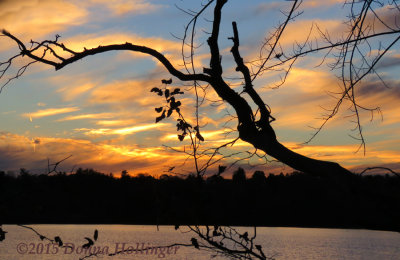 Sunset on Fresh Pond