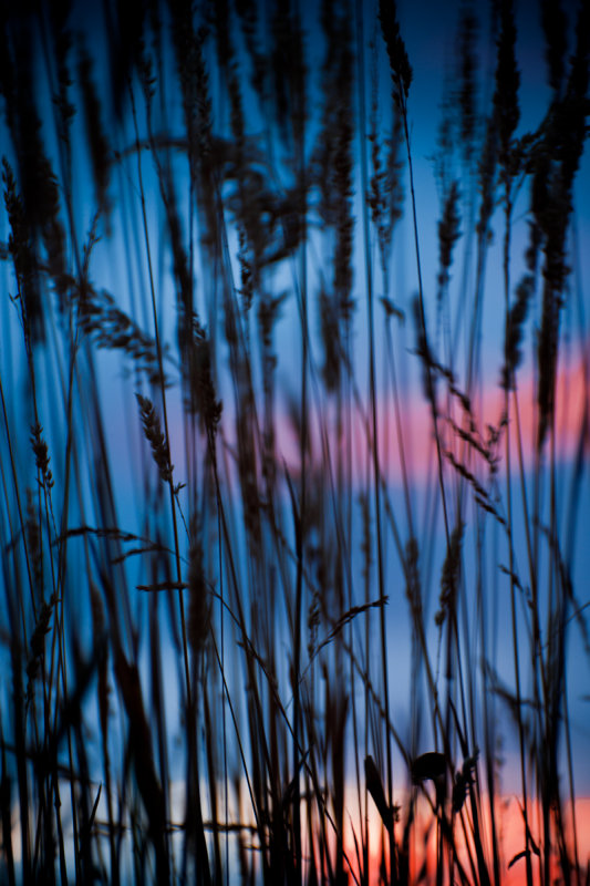 _D3X6271_2012 sunset.jpg