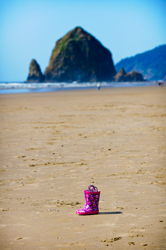 D3X_6002_Cannon Beach.jpg