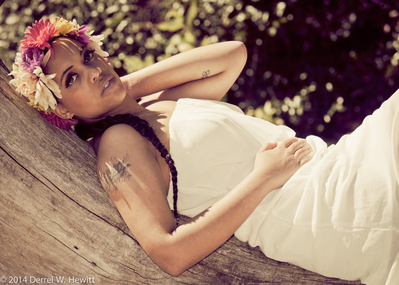 D3X_3596_PREVIEW_II.jpg