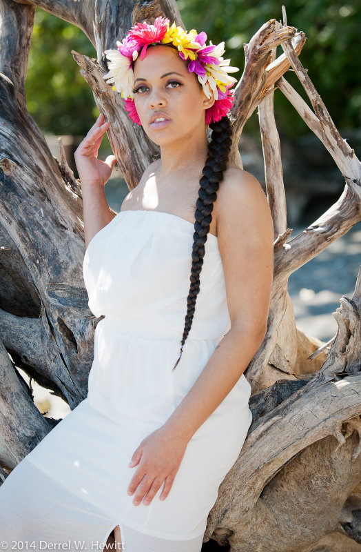 D3X_3853_PREVIEW_II.jpg