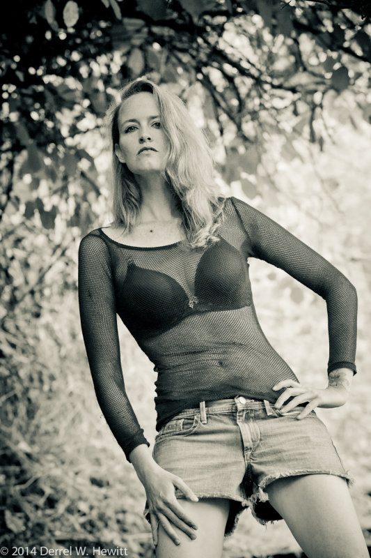 D3X_4856_PREVUE.jpg