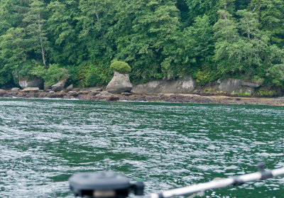 DSC_0492_Sekiu '13.jpg