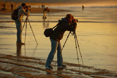 _D3X0683_PC Photographers.jpg