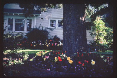1976-front with flowers_1976.jpg