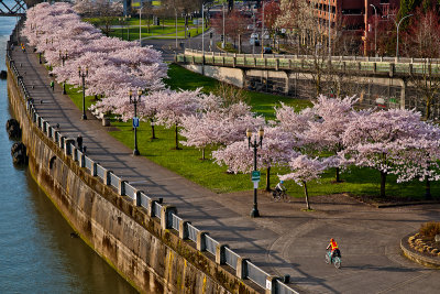 pdx_waterfront