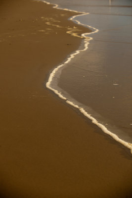 D3X_4838.jpg