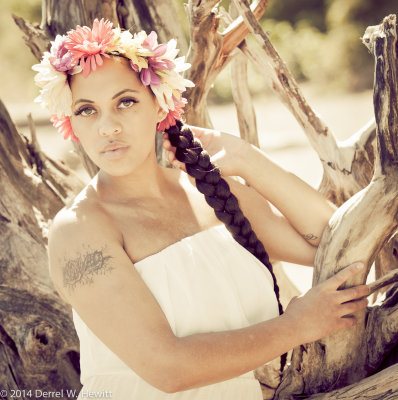 D3X_3846_PREVIEW_II-2.jpg