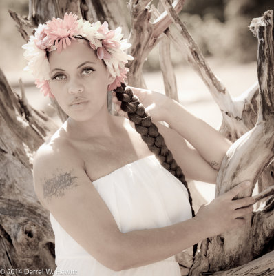 D3X_3846_PREVIEW_II-3.jpg