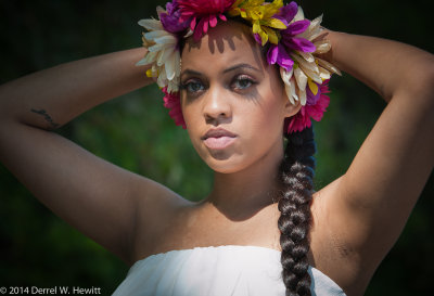 D3X_3984_PREVIEW_3-2.jpg