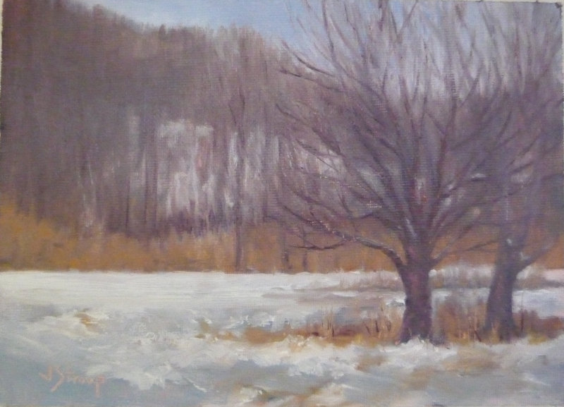 Castlewood State Park in the Snow - plein air