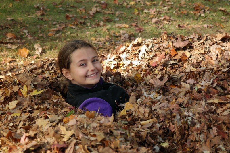 fun with leaves