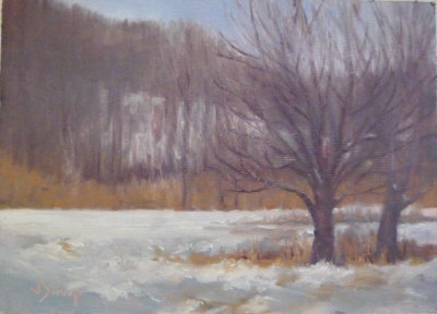 Castlewood State Park in the Snow - plein air