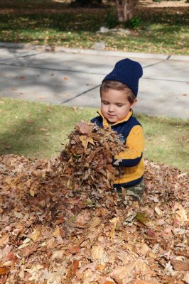 Jonah and the leaf pile