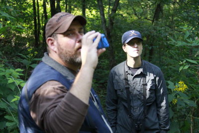Trying to get a look at a Swainson's Thrush