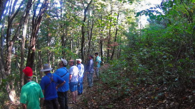 Walking the short birding trail